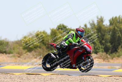 media/May-12-2024-SoCal Trackdays (Sun) [[ad755dc1f9]]/12-Turn 7 (1150am)/